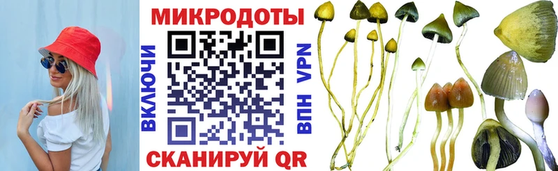 закладка  Челябинск  Галлюциногенные грибы прущие грибы 